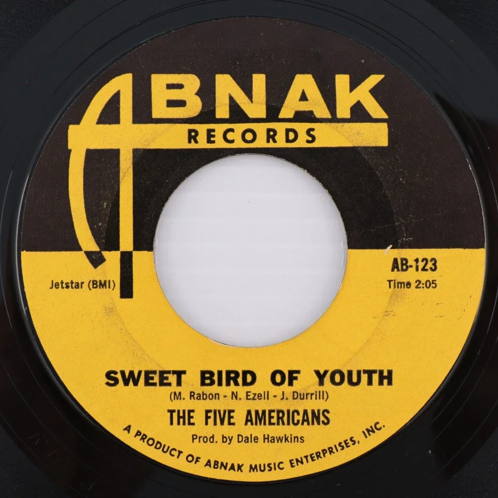 The Five Americans, Zip Code/Sweet Bird Of Youth 45 rpm Record 7" Single Monarch - Picture 1 of 6